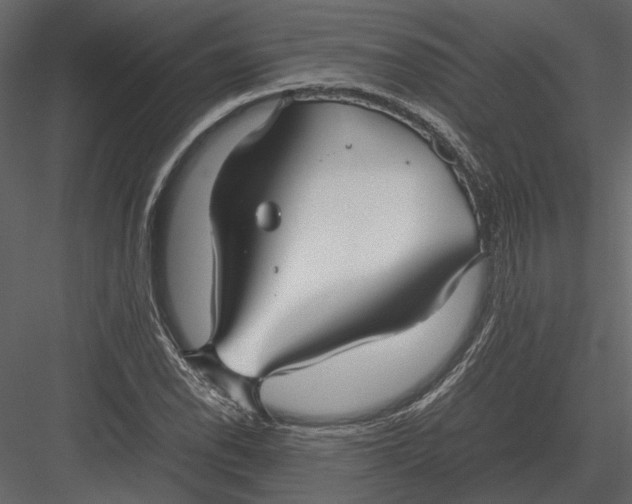 X0000083001118200702230119