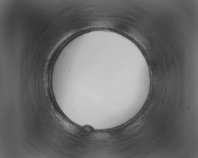 X0000083001119200702230119