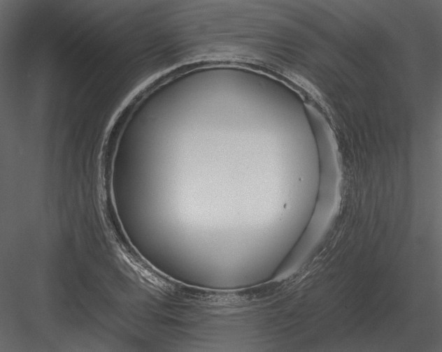 X0000083001120200702230119