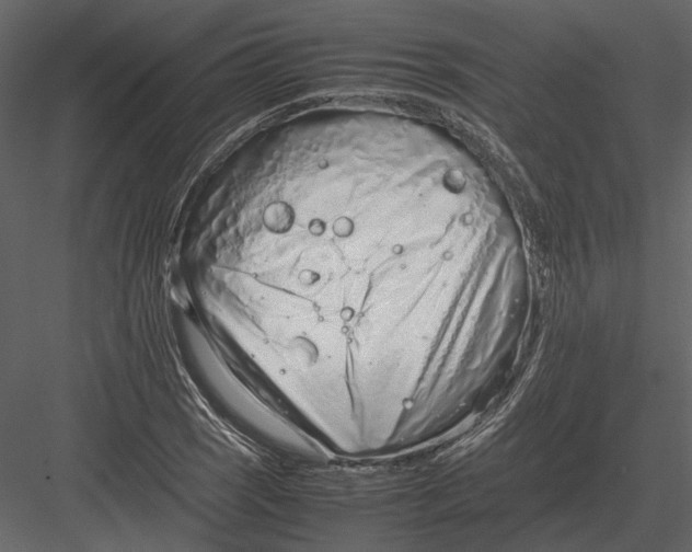 X0000083001121200702230119