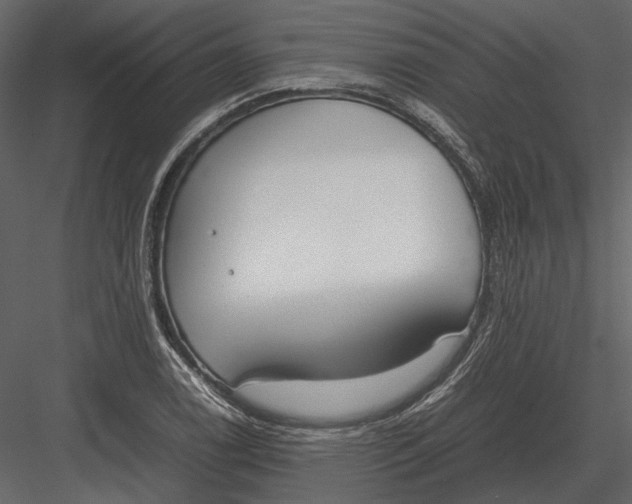 X0000083001122200702230119