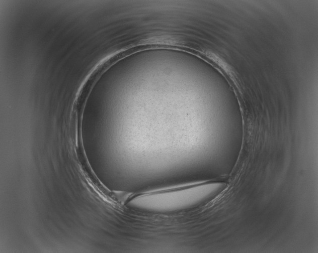 X0000083001123200702230119