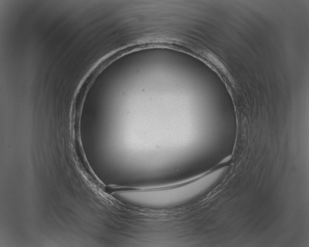 X0000083001124200702230119