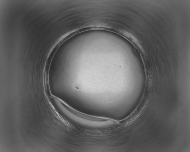 X0000083001125200702230119