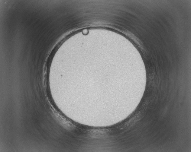 X0000083001126200702230119