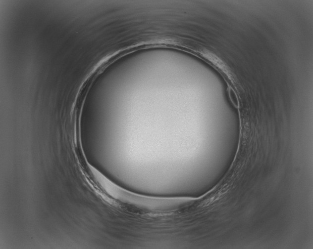 X0000083001127200702230119