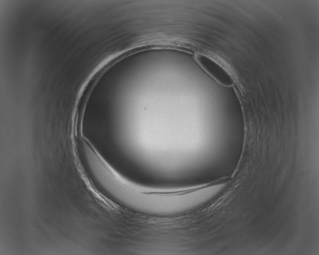 X0000083001128200702230119