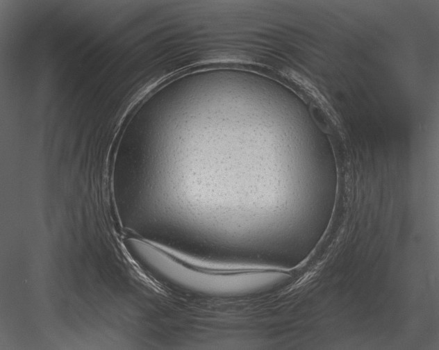 X0000083001129200702230119