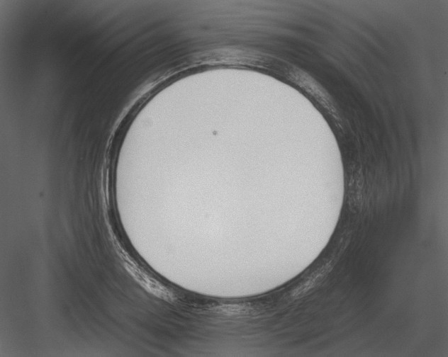 X0000083001130200702230119