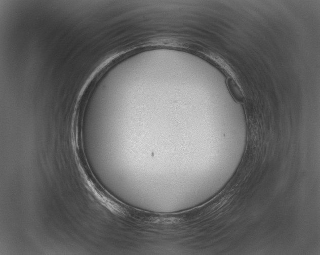 X0000083001131200702230119