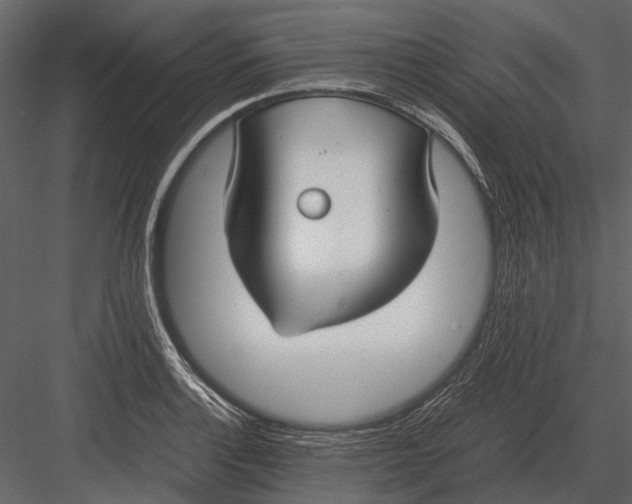 X0000083001132200702230119