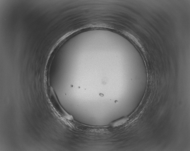 X0000083001133200702230119