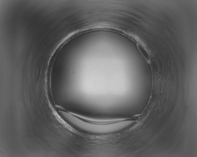 X0000083001134200702230119