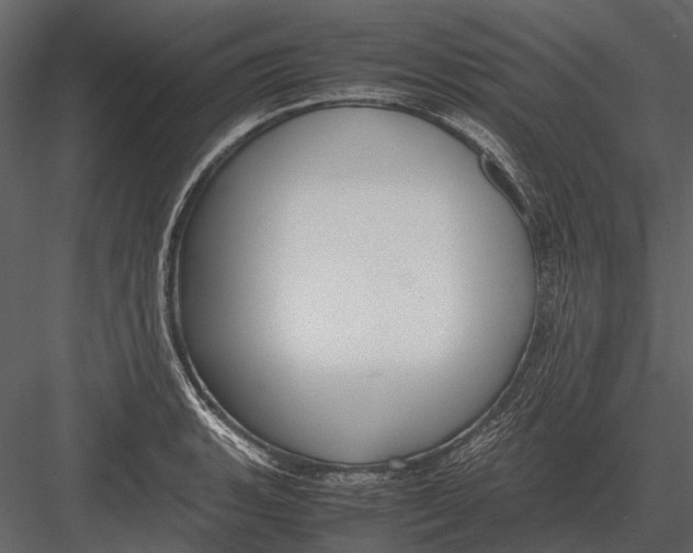 X0000083001135200702230120