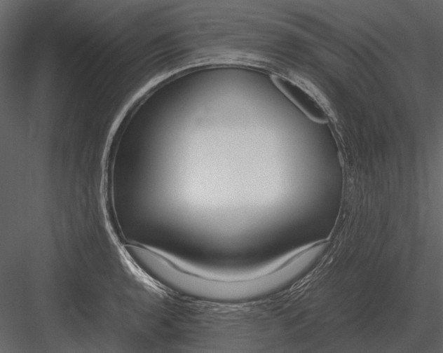 X0000083001136200702230120