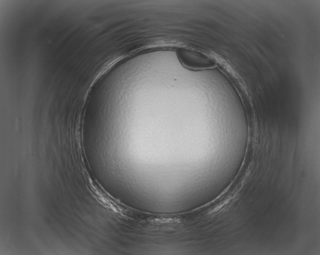 X0000083001137200702230120