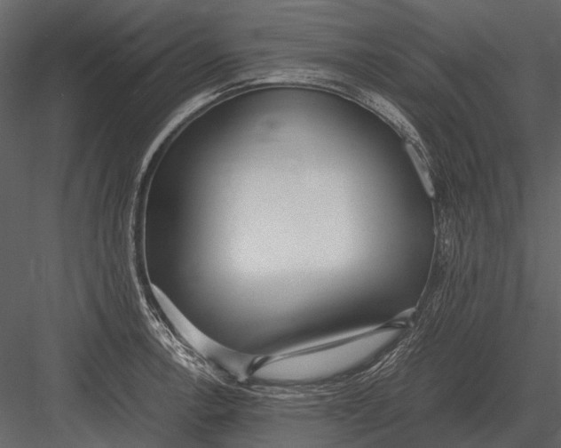 X0000083001138200702230120