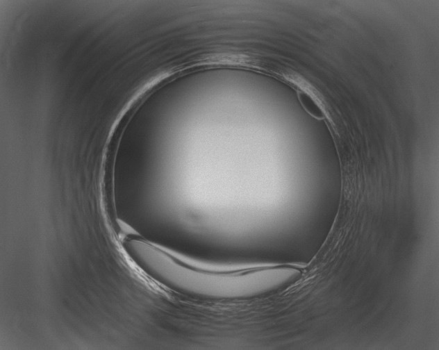 X0000083001139200702230120