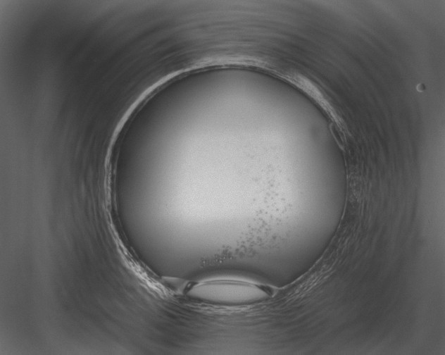 X0000083001140200702230120