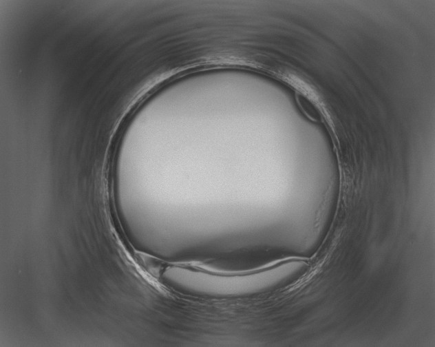 X0000083001141200702230120