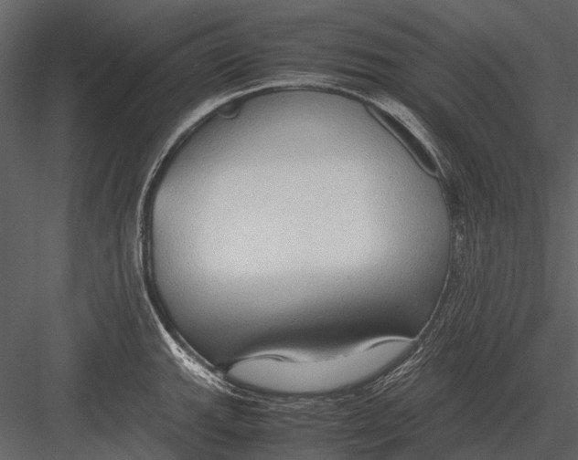 X0000083001143200702230120