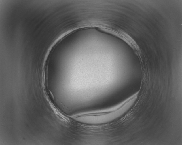 X0000083001144200702230120