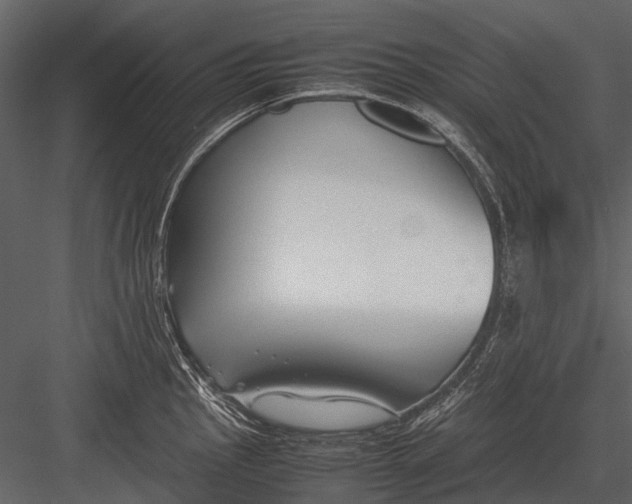 X0000083001145200702230120