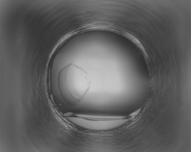 X0000083001146200702230120