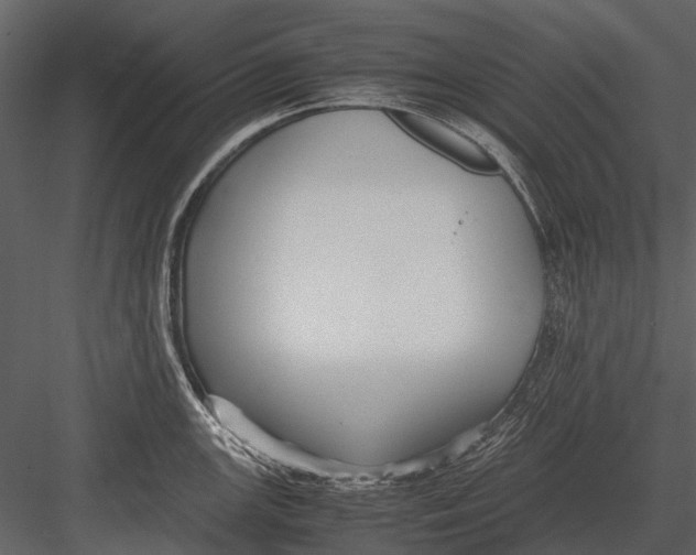 X0000083001147200702230120