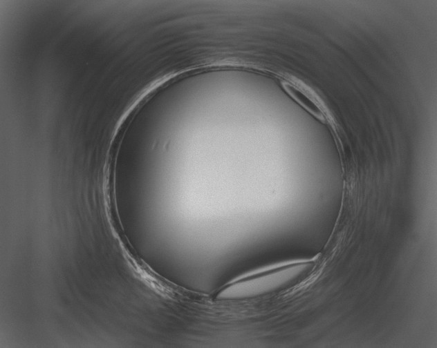 X0000083001149200702230120