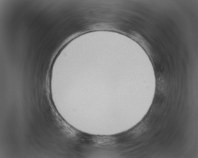 X0000083001150200702230120