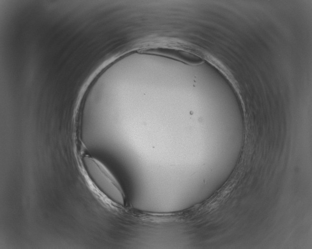 X0000083001152200702230120