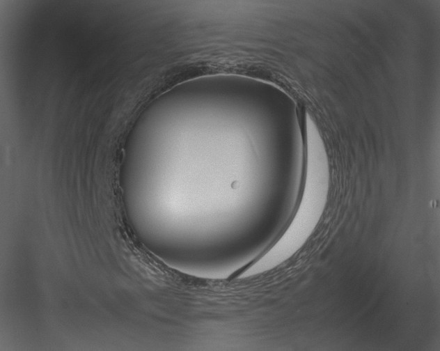 X0000083001153200702230119