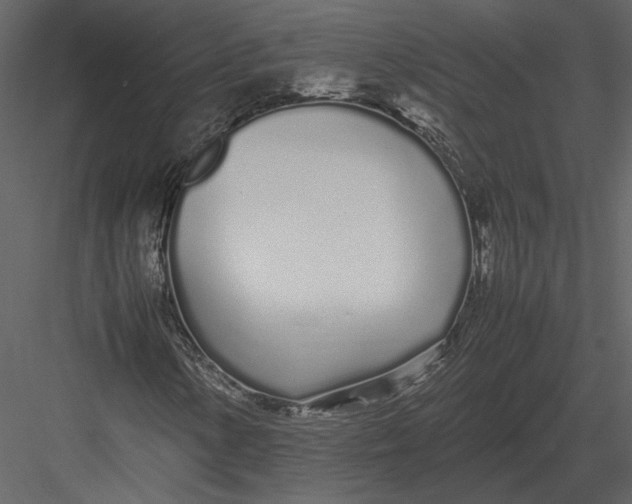 X0000083001154200702230119