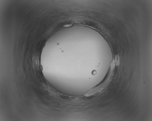 X0000083001155200702230119