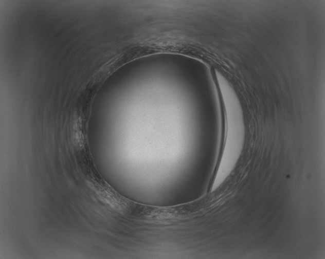 X0000083001156200702230119