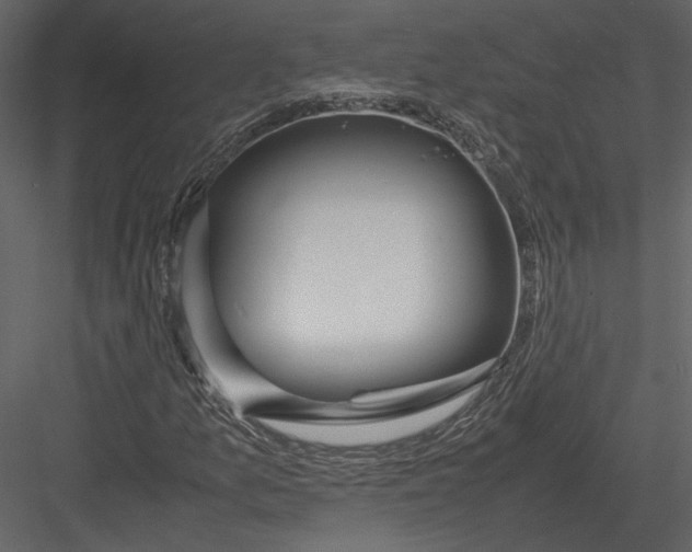 X0000083001157200702230119