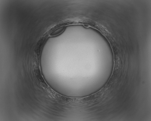 X0000083001158200702230119