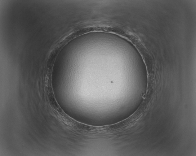 X0000083001159200702230119