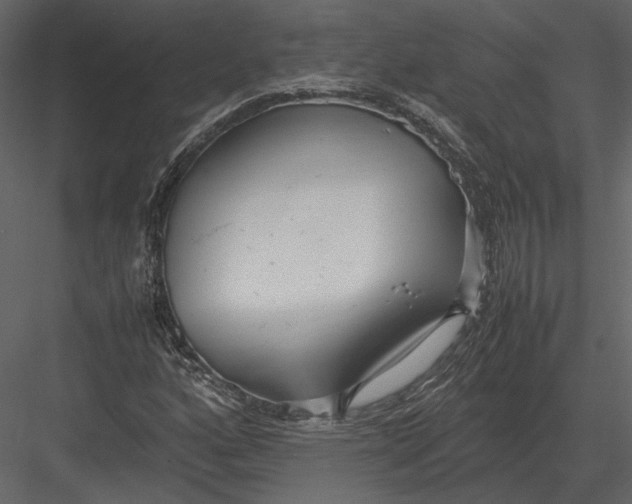 X0000083001160200702230119