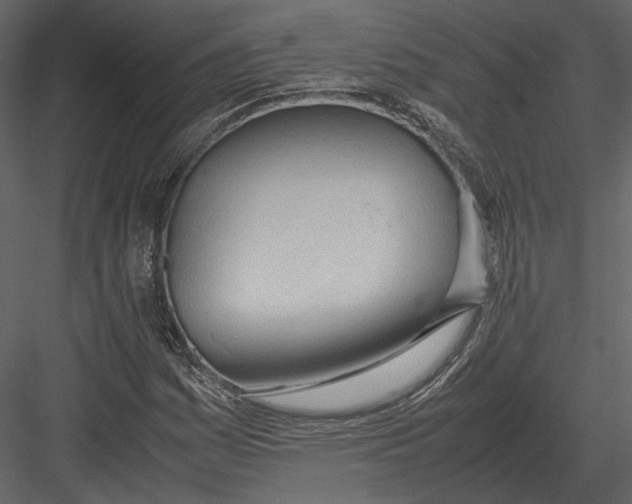 X0000083001161200702230119