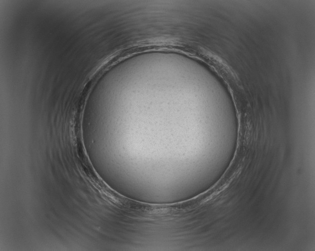 X0000083001162200702230119