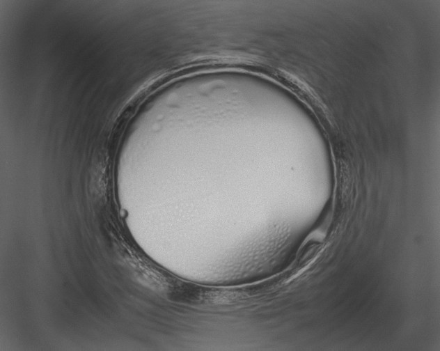 X0000083001163200702230119