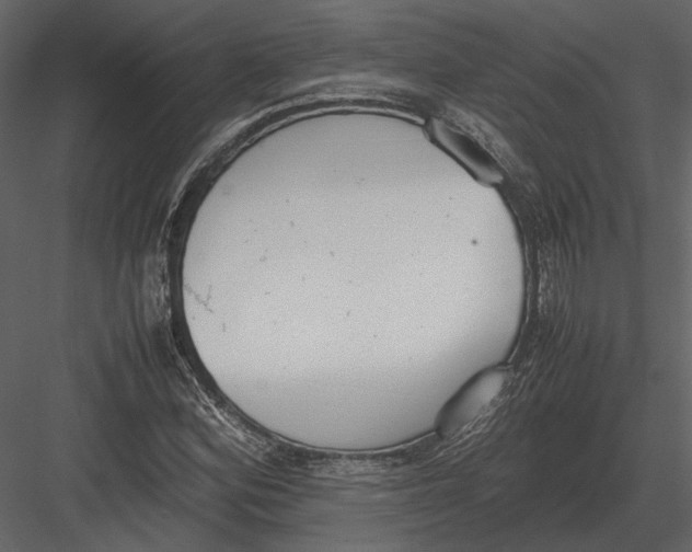 X0000083001164200702230119