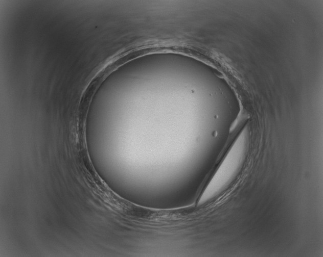 X0000083001165200702230119