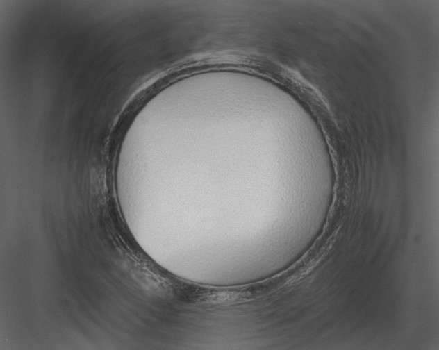 X0000083001166200702230119