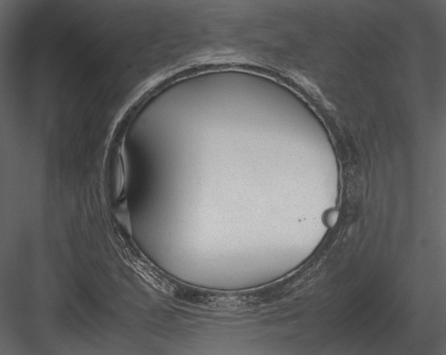 X0000083001167200702230119