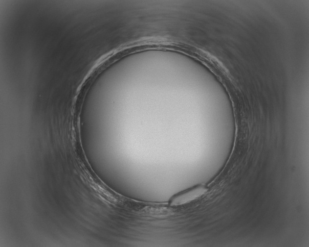 X0000083001168200702230119