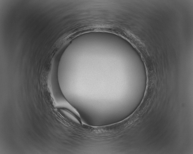 X0000083001169200702230119