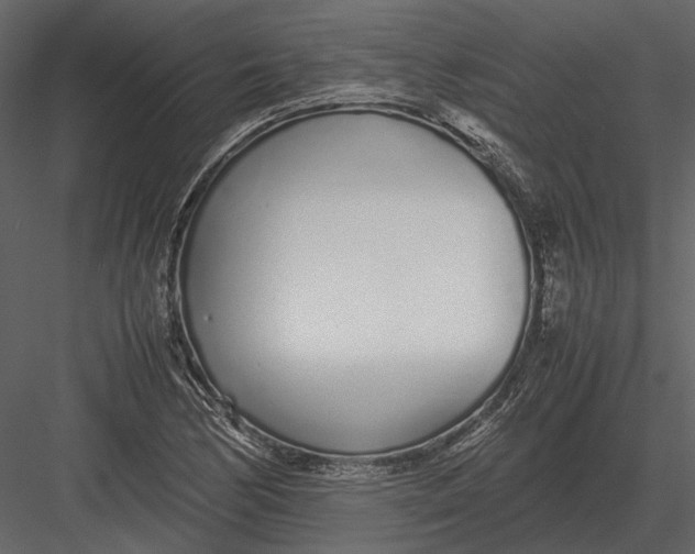 X0000083001170200702230119